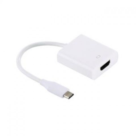 ADAPTATEUR TYPE C /HDMI