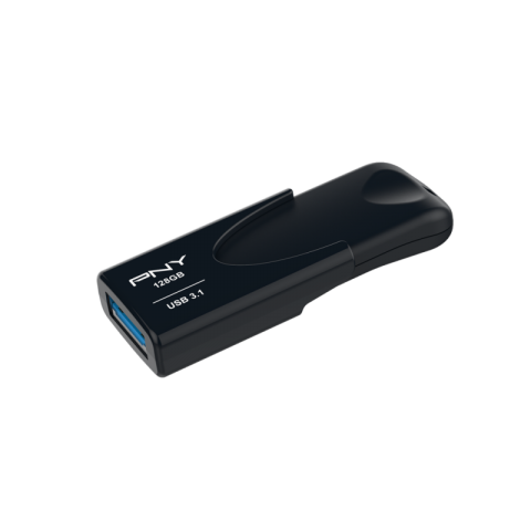 PNY FLASH DISK USB 3.1 128 GB