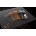 TAPIS SOURIS AORUS AMP900