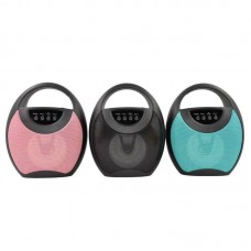 Haut Parleur Bluetooth/SD/USB 